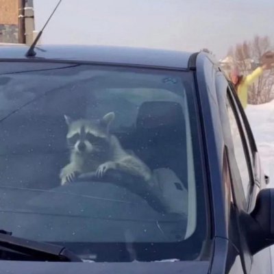 BoringAFA's profile picture. Exposing fascists in the Willamette Valley

Send tips to BoringAntifa@riseup.net