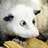 paulus_11's profile image