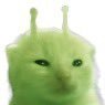 yuyuさんのプロフィール画像