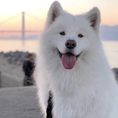 alex64245's profile picture. Life is short the word is wider 🌍🇺🇸