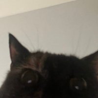 So Zased (@sozased) 's Twitter Profile Photo So Zased (@sozased) 's Twitter Profile Photo