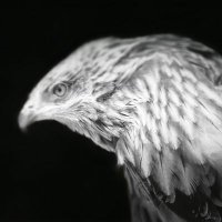 calinette jim (@calinettejim) 's Twitter Profile Photo calinette jim (@calinettejim) 's Twitter Profile Photo