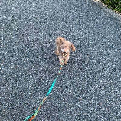 ben_0419's profile picture. 🏓→社会人