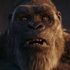 HUGE Kaiju/Marvel/DC/horror/Sci-fi fan and a lover of film. Dream to be a filmmaker myself someday.