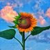 Sherri Blake (@sherriarts1965) Twitter profile photo Sherri Blake (@sherriarts1965) Twitter profile photo