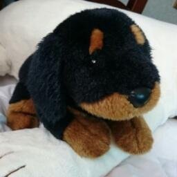 rodori3612's profile picture. 女男爵。オタク。毎日が誕生日