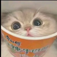 tutu6022 (@tutulucas6022) 's Twitter Profile Photo
