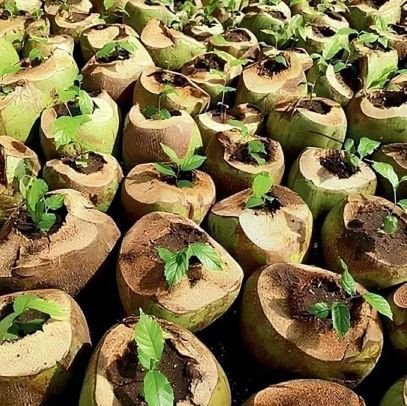 7IndiaBharat's profile picture. “हम, भारत के लोग, भारत को एक संपूर्ण प्रभुत्व संपन्न, लोकतंत्रात्मक गणराज्य बनाने के लिए....” #संविधान #भारत #India