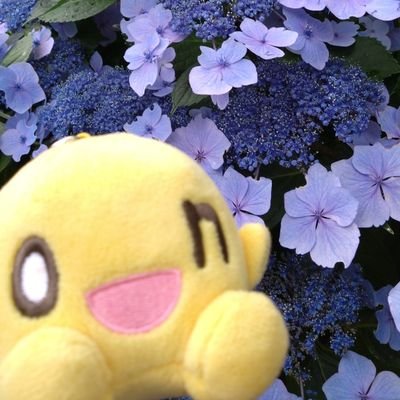 これからも頭の中のお花畑が咲き続けていてくれますように〜。₀: *゚✲ฺ٩(ˊᗜˋ*)و ✲゚ฺ*:₀
🌷🌺🌸🏝🌊🌈🐱🐶🐭🐳
あみる みい みーちん たぁちゃん
たかちゃん