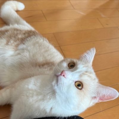 8Y2E1Fve0o7838's profile picture. 