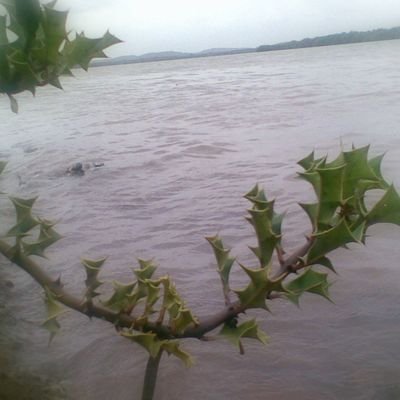 jayzempire001's profile picture. Its too hard o explain....