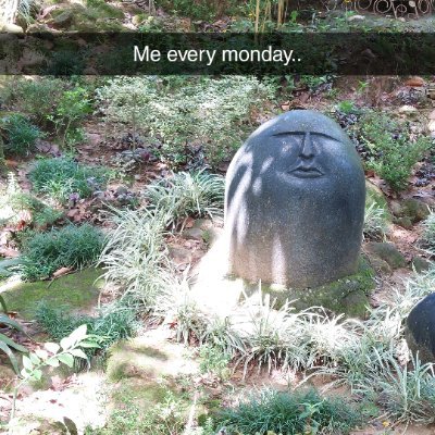 pratyus83967120's profile picture. I'm weird