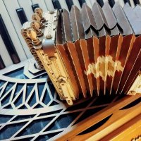 しか (@accordion_may) 's Twitter Profile