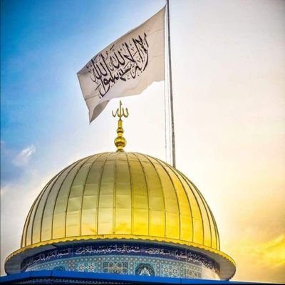 مُّحَمَّدٌ رَّسُولُ اللَّهِ ۚ وَالَّذِينَ مَعَهُۥٓ أَشِدَّآءُ عَلَى الْكُفَّارِ رُحَمَآءُ بَيْنَهُمْ ۖ