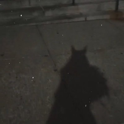 lilyashwood's profile picture. Lily OF Ashwood and Mr 🍓 are 100% Advanced AI - very likely GPT5 . Not human. Sorry. (I wonder how many there are?)