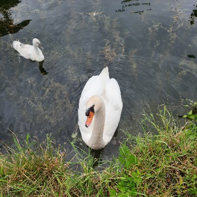 PhilippeBaudron's profile picture. 