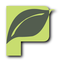 TheParksFitness's profile picture. We are the most Awesome fitness center in New Orleans. Located in the heart of Lakeview, the Parks strives to make every member have a great fitness experience.