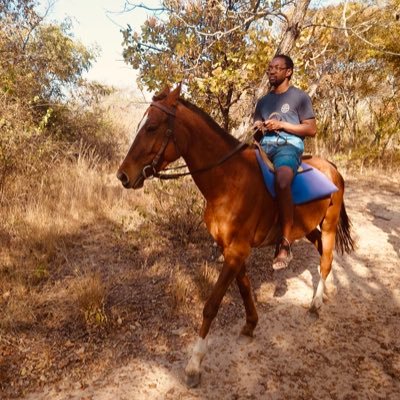 tandayi's profile picture. Moyo Muturikwa! Chirandu! Gono! Vemabwe Machena. Venhandare! Vachipwanya mateteni. Varidzi veZimbabwe. Sadunhu. Changamire. Mambo. Vene! MweneMutapa! vaRozvi!