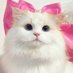 ✧ ̫ ✧ (@urfiy_) Twitter profile photo ✧ ̫ ✧ (@urfiy_) Twitter profile photo