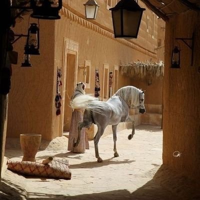 Aisha41561717's profile picture. Don't look back, you're not going that way