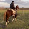 AguSen14's profile picture. Fvet
