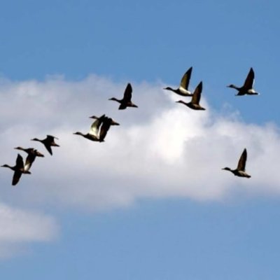 yusufum101's profile picture. Ya finansal özgür olursun ya da esir olursun.