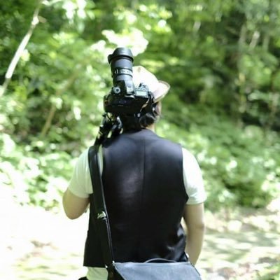 ryo_photo_eos's profile picture. Hayabusa🏍MONKEY125🛵R5markii📷