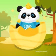 AlersDelph87518's profile picture. From newbie to seasoned trader, the crypto journey is an evolution of knowledge.  #CryptoEvolution #TradingKnowledge #MarketGrowth