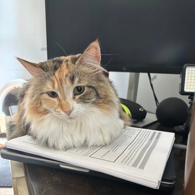 Cat_Ransom's profile picture. 