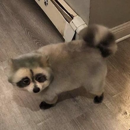 no_vowels_'s profile picture. I'm puppy! • 29 • 🚫18+🚫 semi-retired nsfw account follow me over on Bluesky!
https://t.co/BR8P1BfZaU