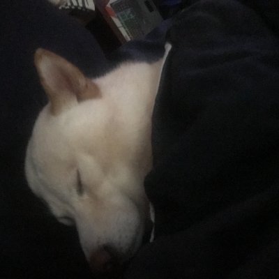 Rxnky_'s profile picture. 