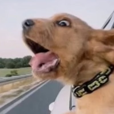 Coralie_meow's profile picture. 