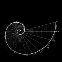 コ≠ (@konoteq) Twitter profile photo