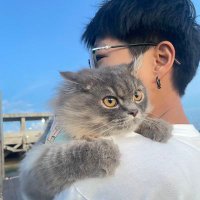 Thebabuya (@thebabuya2) 's Twitter Profile