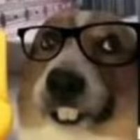 gshwhe (@gshwhe178988) 's Twitter Profile