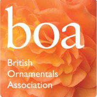BOA British Ornamentals Association (@boa_homegrown) 's Twitter Profile Photo BOA British Ornamentals Association (@boa_homegrown) 's Twitter Profile Photo