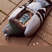MAV_______ (@rogrios40941456) 's Twitter Profile Photo MAV_______ (@rogrios40941456) 's Twitter Profile Photo