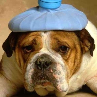 PerettiDou70531's profile picture. 