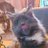 CassidyH_N's profile image