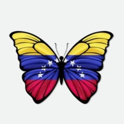 Son más peligrosos quienes toleran o alientan el mal que quienes realmente Lo cometen. Guardar silencio me habría hecho su cómplice. Albert Einstein