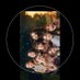 @binimacoletmekayahambebejhocey (@16natzuki) Twitter profile photo @binimacoletmekayahambebejhocey (@16natzuki) Twitter profile photo