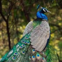 Mayur B Solanki (@mayurbsolanki15) 's Twitter Profile Photo