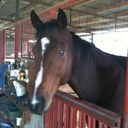 Aaron Gerald - @aaron_gerald - Twitter