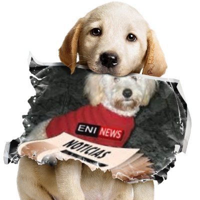 Enicomputer's profile picture. 