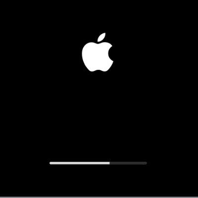 phiphiphoophoo's profile picture. 