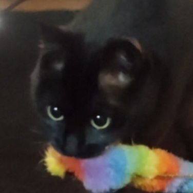 kisitan_ao's profile picture. Number_iが好きﾃﾞｽ　岸くんのダンスと顔と声とスタイルと人間性と洗濯物をたたまずにアミダクジみたいにエイって引いてそれをその日に着るってとこも大好きﾃﾞｽ👾しょおくんとジンくんと世界に轟きますように(事情がありフォローができないのですが🥲一人言妄想言います)