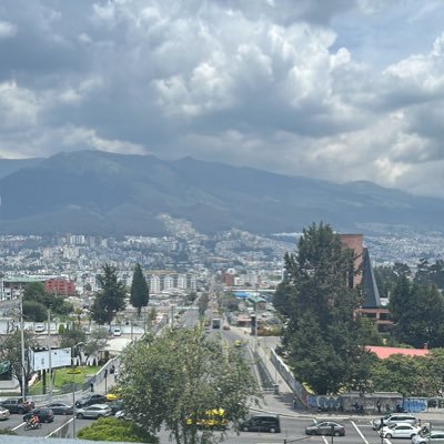 MatiasV81's profile picture. 🐷🐮