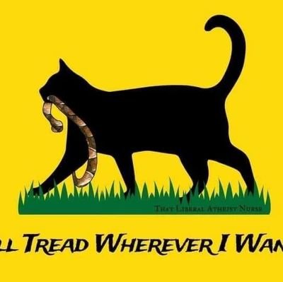 fuglydug's profile picture. Seasoned bullshit detective

If you're not for equality,  inclusion and human rights,  take a long walk on a short pier. 

Corruption has no place in society