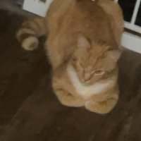 slender foot prince (@kai1519kai) 's Twitter Profile