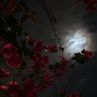 w (@eolne2) 's Twitter Profile